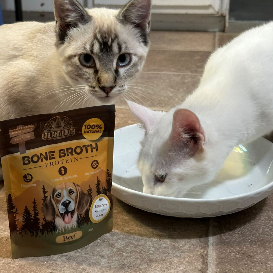 How I Use Bone Broth at Home and with My Patients