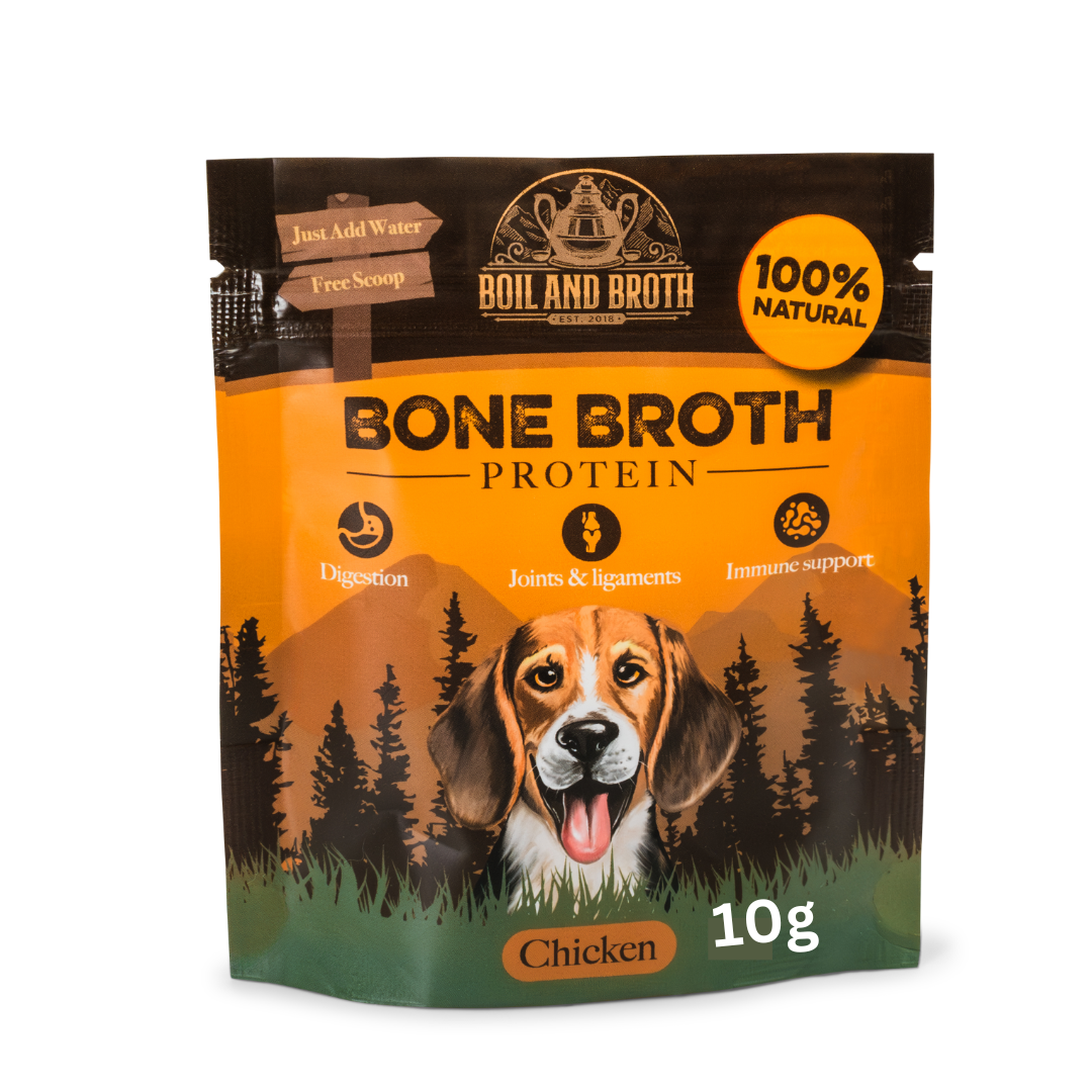 Adding broth to dog food hotsell