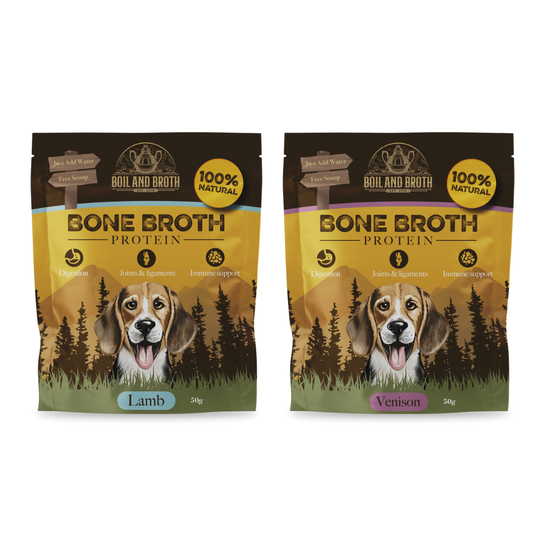 relieve constipation what can a dog have for constipation