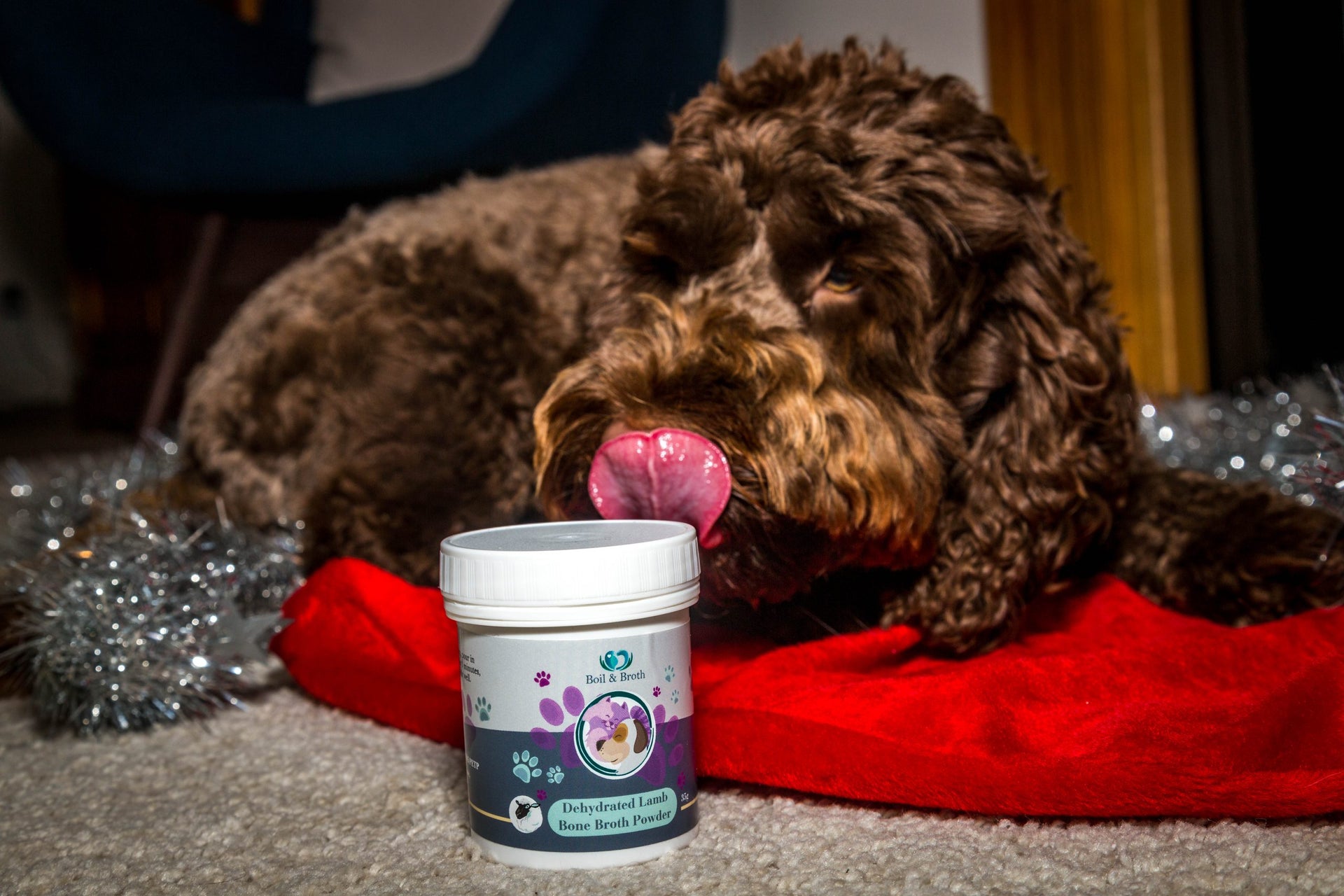 Can probiotics stop my dog’s itchy skin?