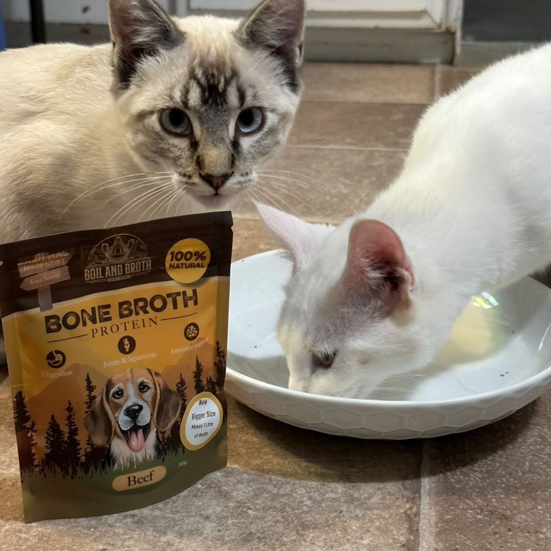 How I Use Bone Broth at Home and with My Patients