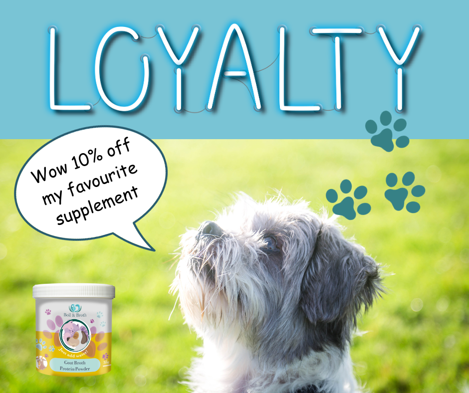 Join our Loyalty Points Scheme