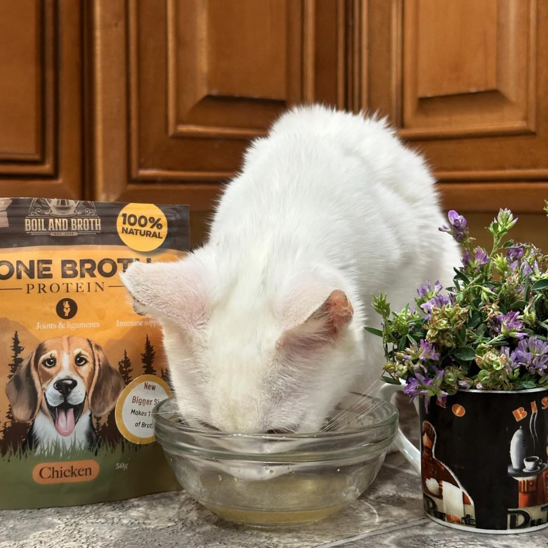 Vegetable Soup Boil Chicken Broth For Dehydrated Dog Boil Broth