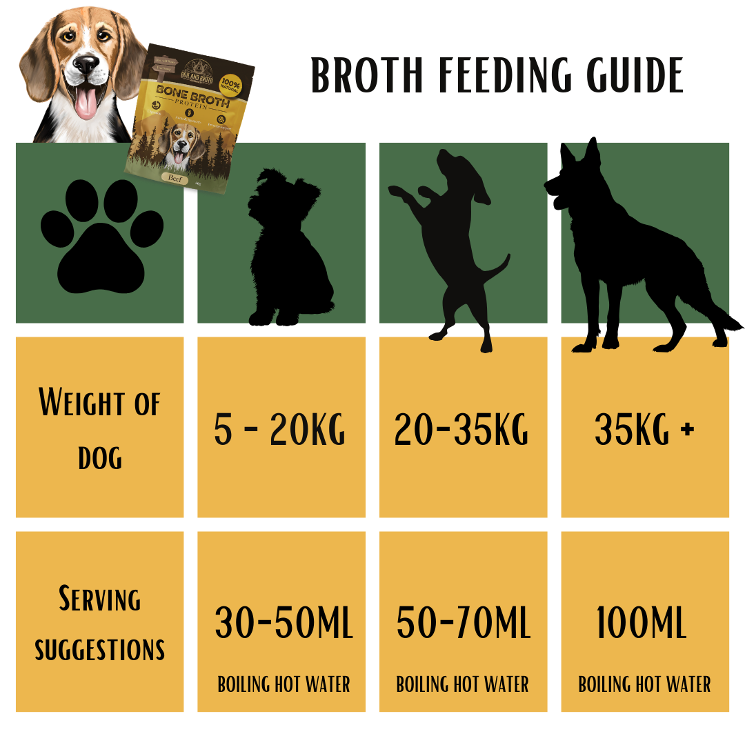 Beef Broth for Dogs (10g)