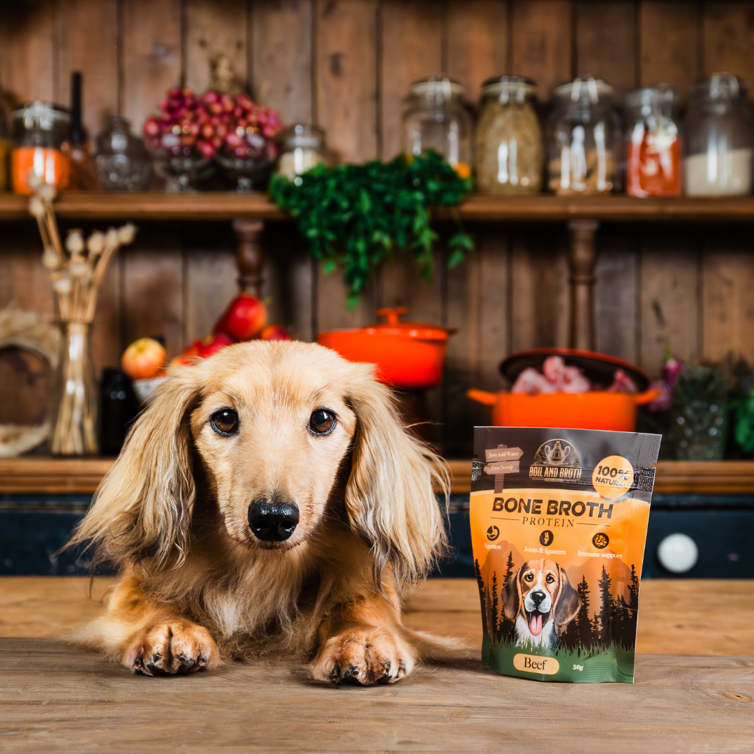 Boiling marrow bones for dogs online