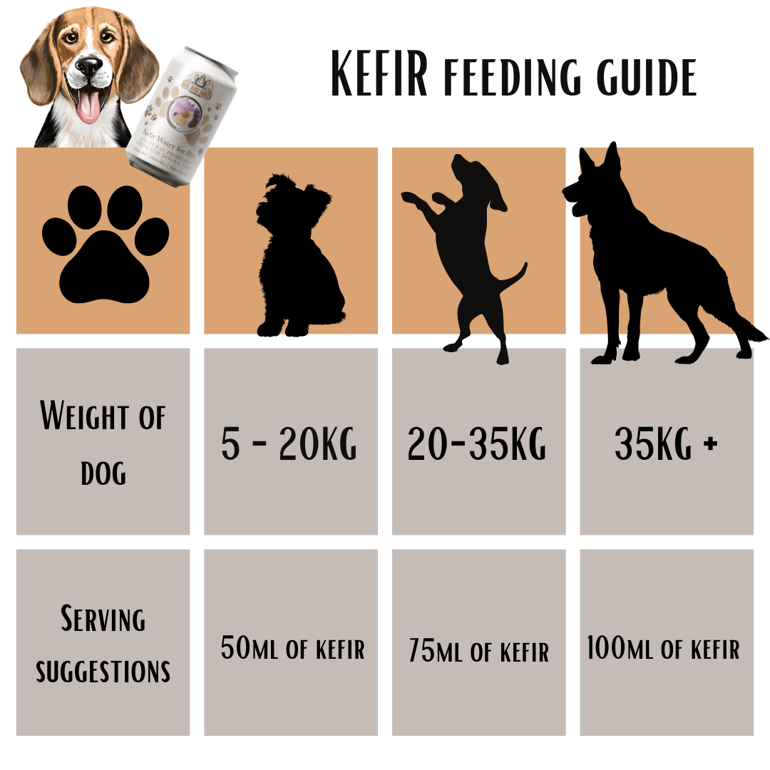Kefir for dogs with pancreatitis outlet