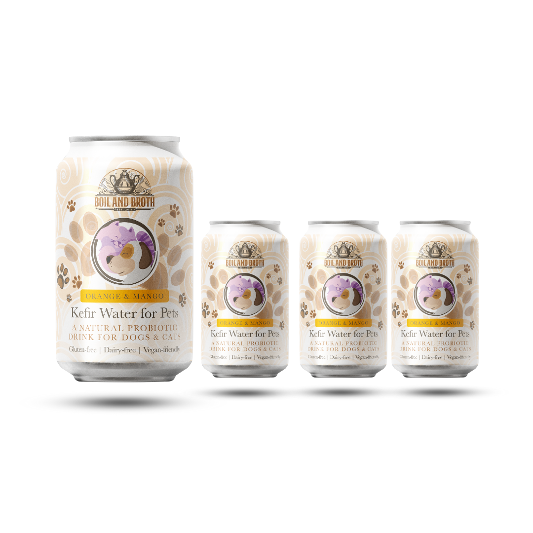 Orange & Mango Water Kefir for Dogs 330ml x 4