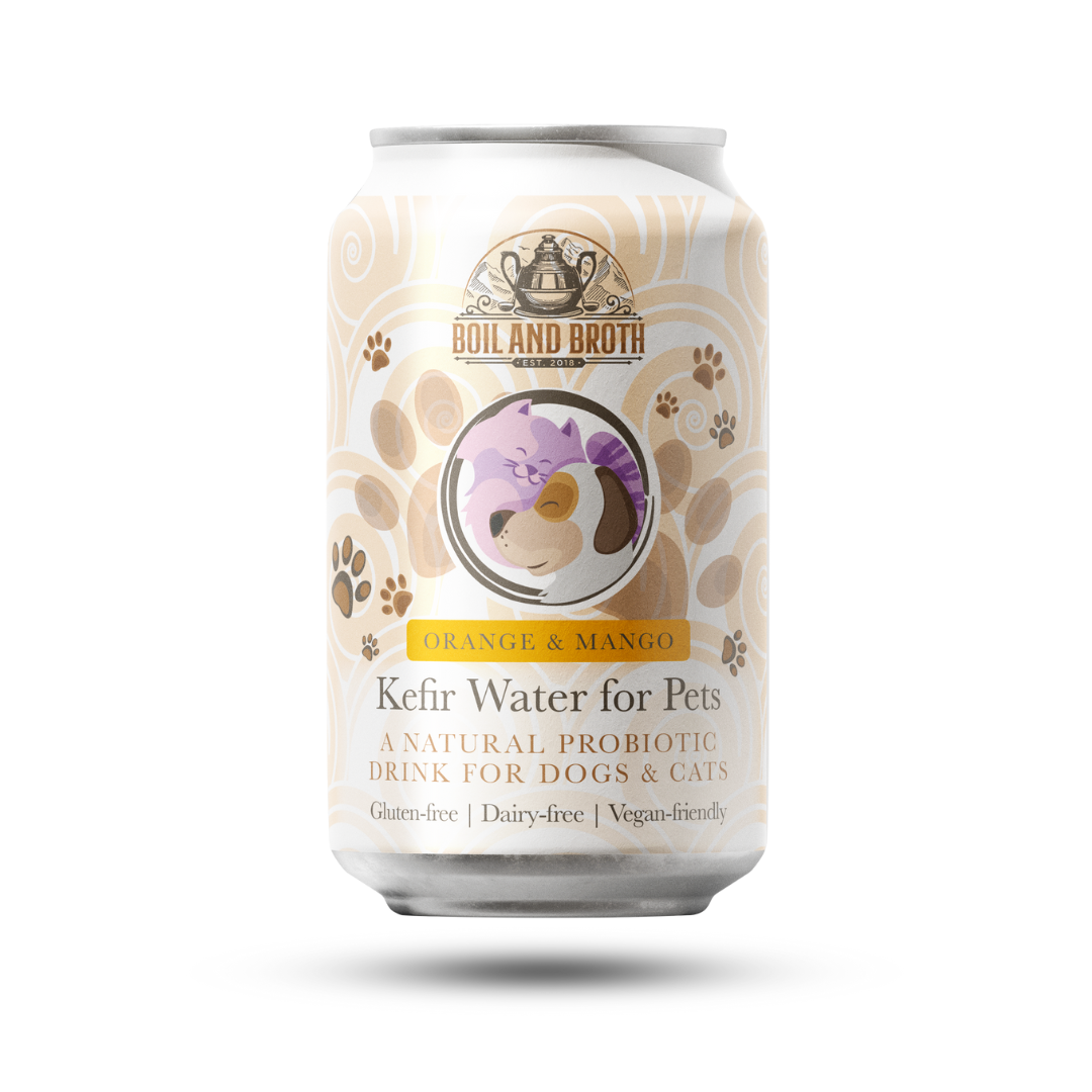 Orange & Mango Water Kefir for Dogs 330ml x 4