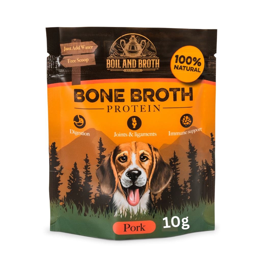 Bone marrow soup for dogs online