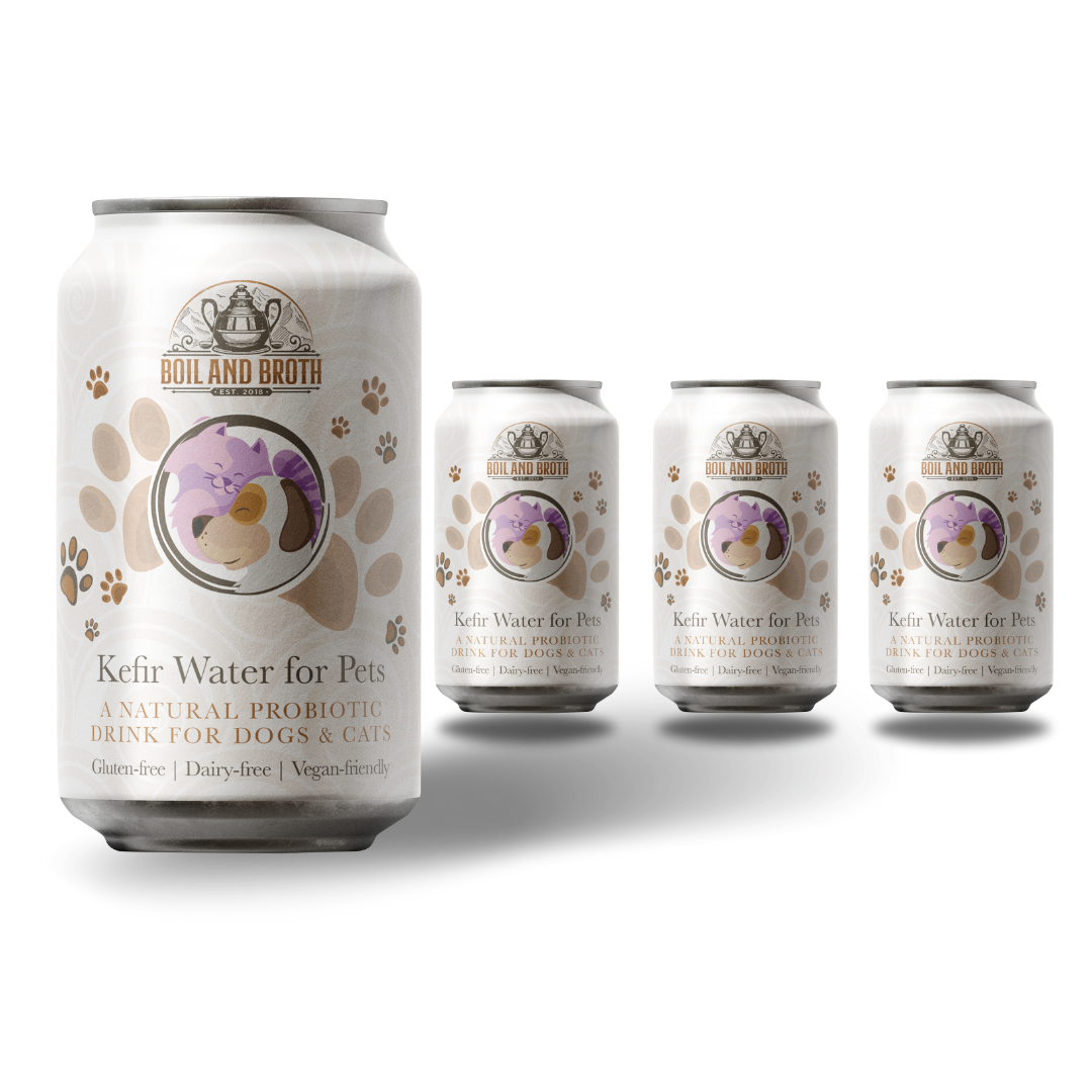 Water Kefir for Dogs 330ml x 4
