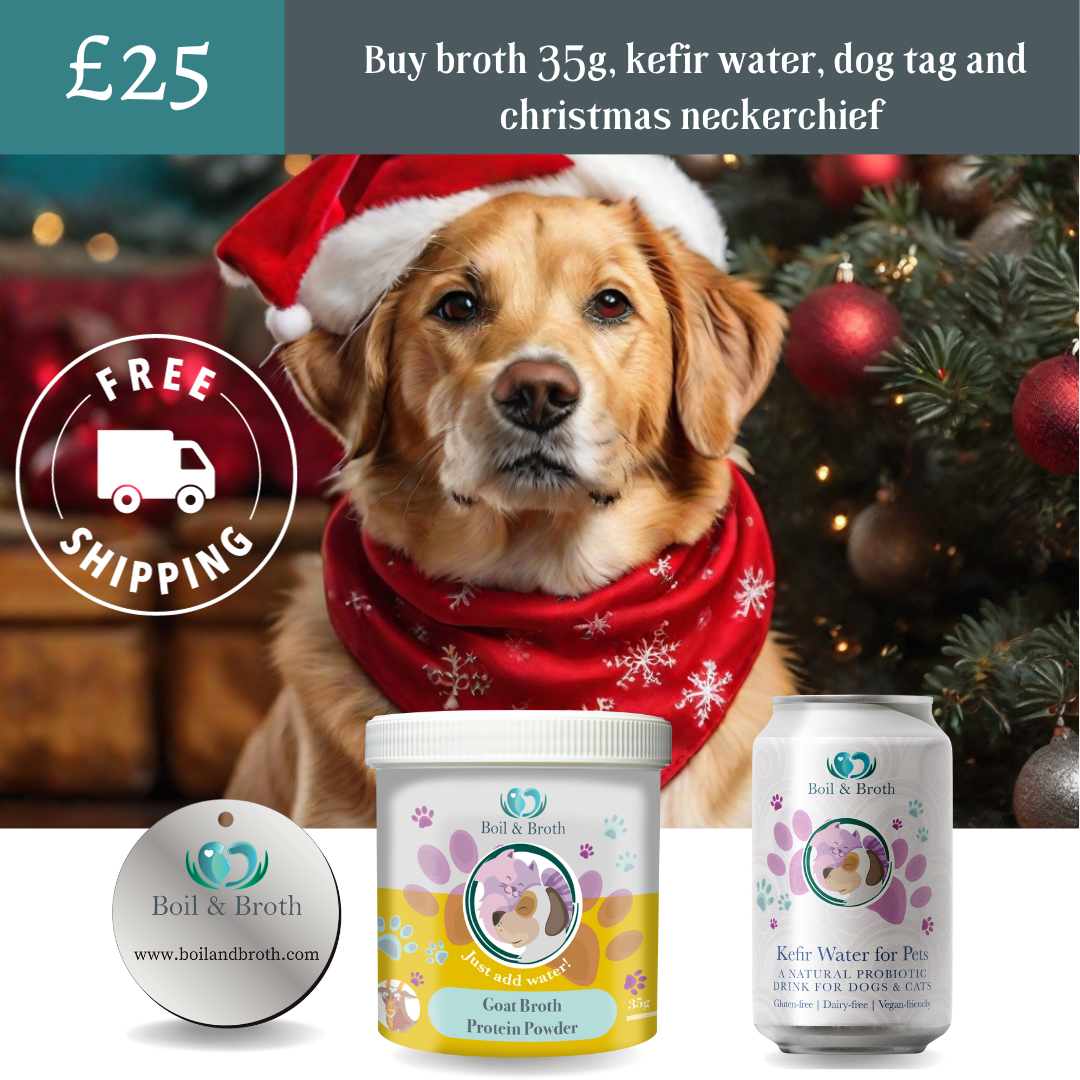 dog christmas gift set